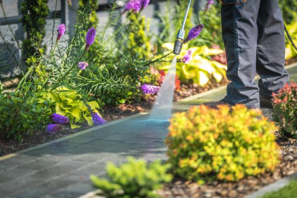 Best Pool Deck Cleaning  in Industry, PA